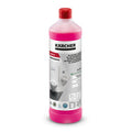 SanitPro Deep Cleaner CA 10 C Eco